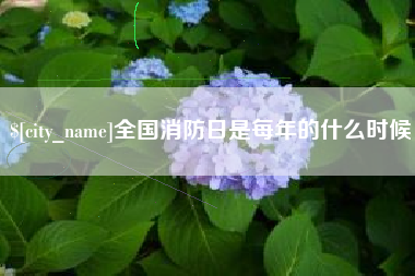 乐山全国消防日是每年的什么时候