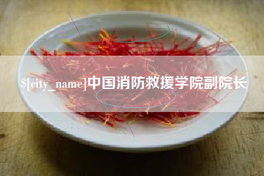 乐山中国消防救援学院副院长