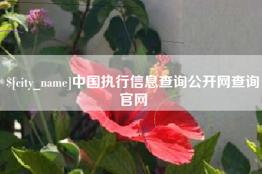乐山中国执行信息查询公开网查询官网