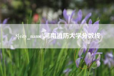 乐山河南消防大学分数线