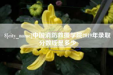 乐山中国消防救援学院2019年录取分数线是多少