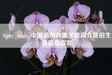 乐山中国消防救援学院简介及招生章程指挥部