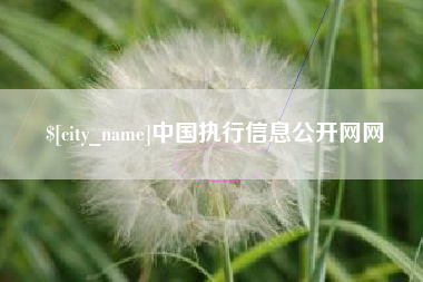 乐山中国执行信息公开网网