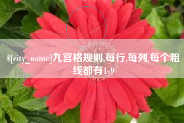 乐山九宫格规则,每行,每列,每个粗线都有1-9