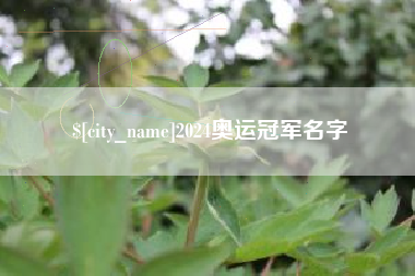乐山2024奥运冠军名字