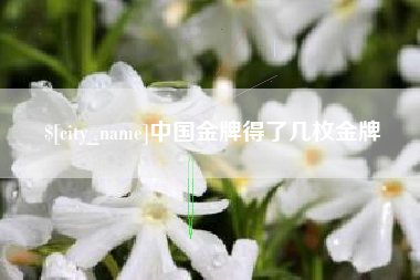 乐山中国金牌得了几枚金牌