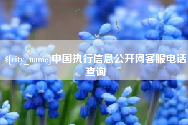 乐山中国执行信息公开网客服电话查询