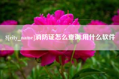 乐山消防证怎么查询,用什么软件