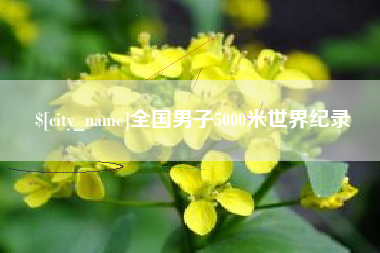 乐山全国男子5000米世界纪录