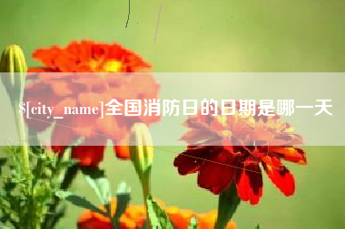 乐山全国消防日的日期是哪一天