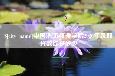 乐山中国消防救援学院2020年录取分数线是多少