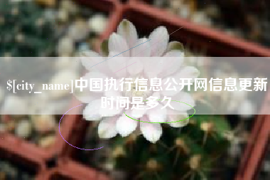 乐山中国执行信息公开网信息更新时间是多久