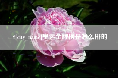 乐山奥运金牌榜是怎么排的