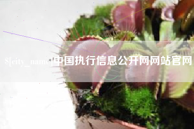 乐山中国执行信息公开网网站官网