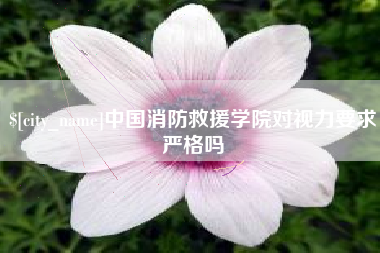 乐山中国消防救援学院对视力要求严格吗