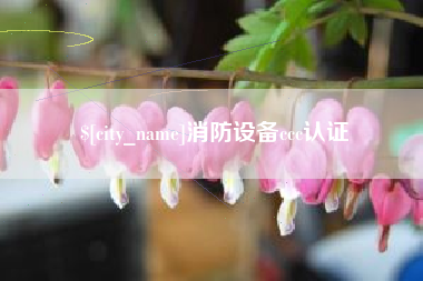 乐山消防设备ccc认证