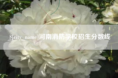 乐山河南消防学校招生分数线