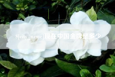乐山现在中国金牌是多少