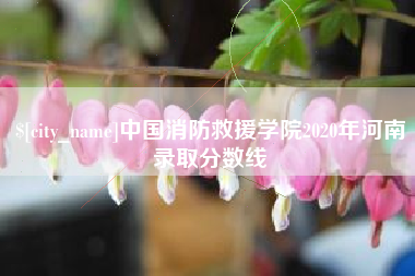 乐山中国消防救援学院2020年河南录取分数线