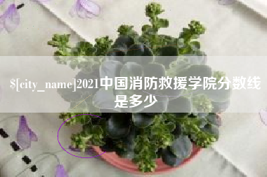 乐山2021中国消防救援学院分数线是多少