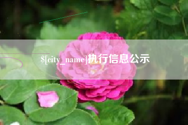 乐山执行信息公示