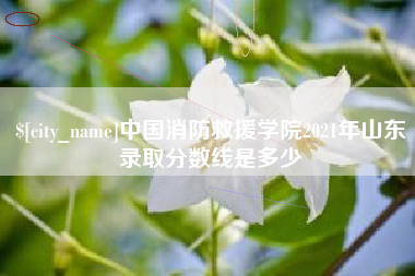 乐山中国消防救援学院2021年山东录取分数线是多少