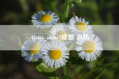 乐山成都 消防