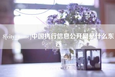 乐山中国执行信息公开网是什么东西