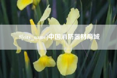 乐山中国消防器材商城