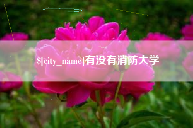 乐山有没有消防大学