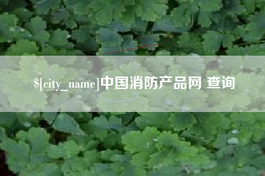 乐山中国消防产品网 查询