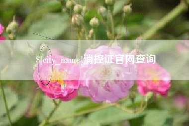 乐山消控证官网查询