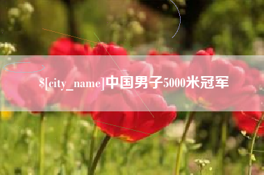 乐山中国男子5000米冠军