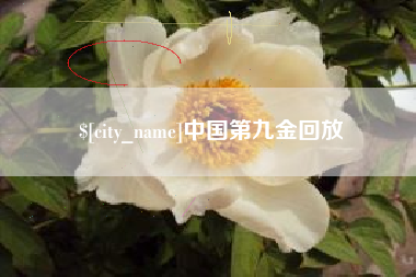 乐山中国第九金回放
