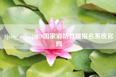 乐山2020国家消防救援报名系统官网