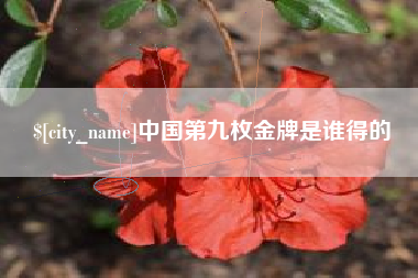 乐山中国第九枚金牌是谁得的