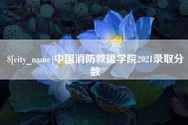 乐山中国消防救援学院2021录取分数