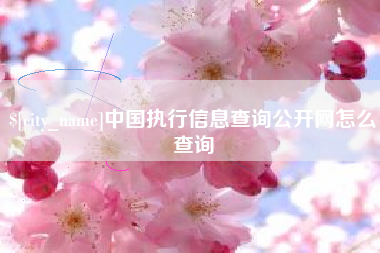 乐山中国执行信息查询公开网怎么查询