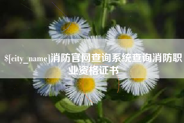 乐山消防官网查询系统查询消防职业资格证书