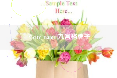 乐山九宫格牌子