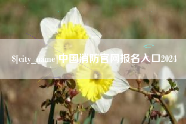 乐山中国消防官网报名入口2024