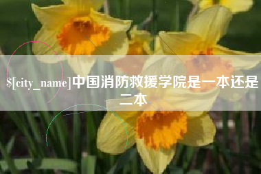 乐山中国消防救援学院是一本还是二本