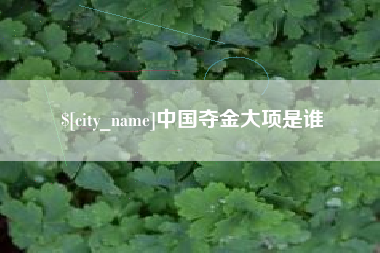 乐山中国夺金大项是谁