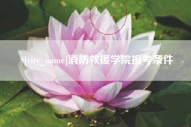 乐山消防救援学院报考条件