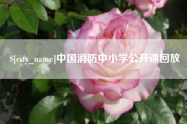 乐山中国消防中小学公开课回放