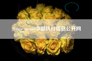 乐山中国执行信息公开网