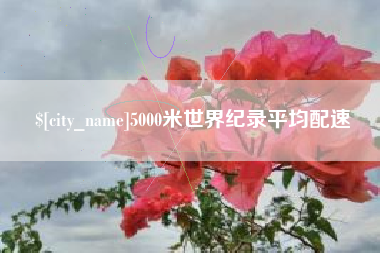 乐山5000米世界纪录平均配速
