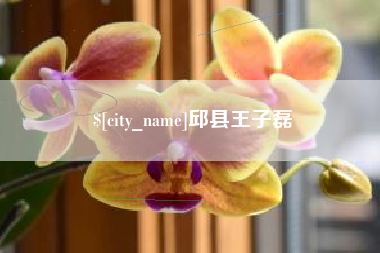 乐山邱县王子磊
