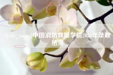 乐山中国消防救援学院2020年录取结果