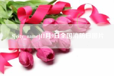 乐山11月9日全国消防日图片